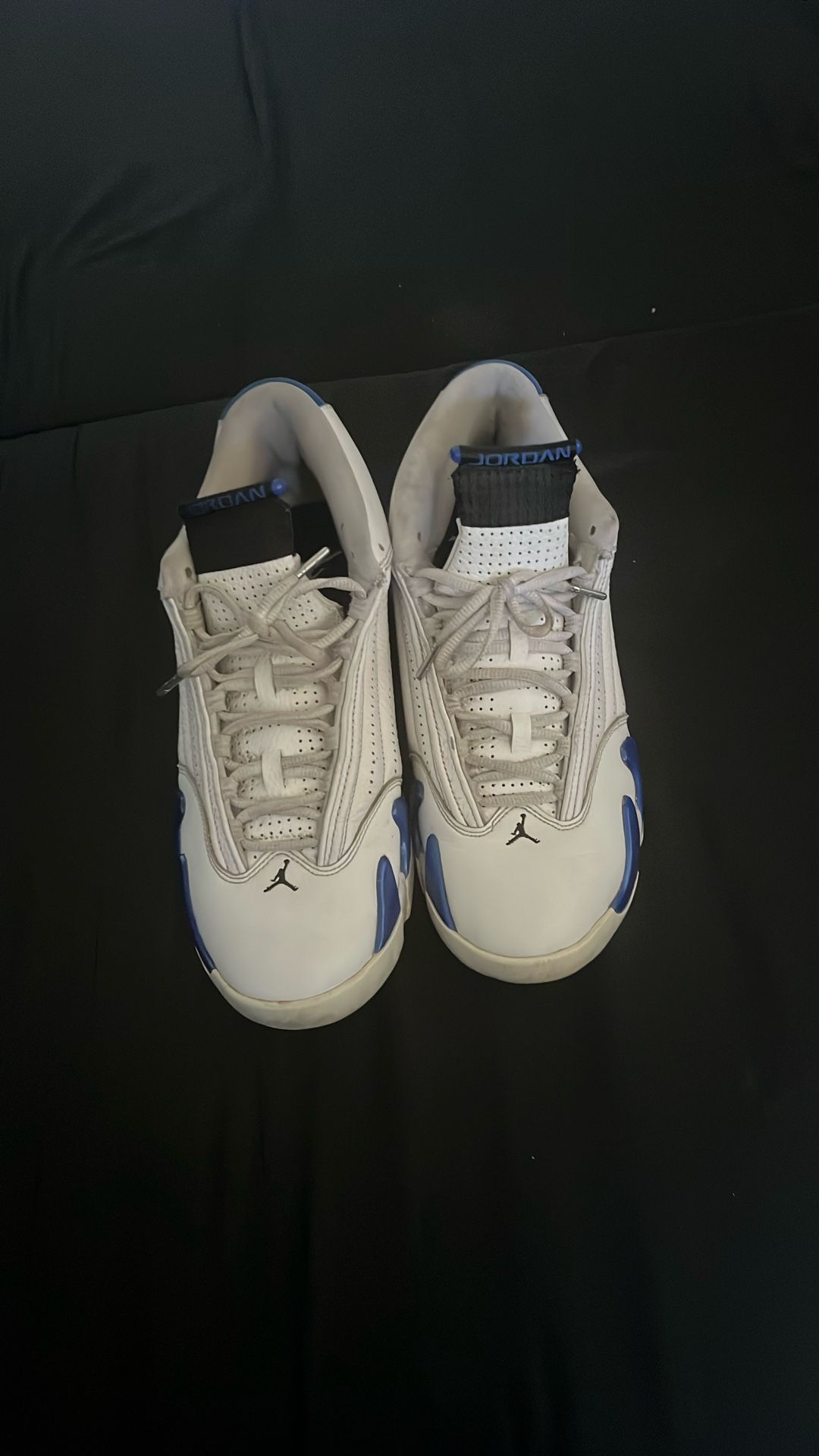Jordan Retro 14s