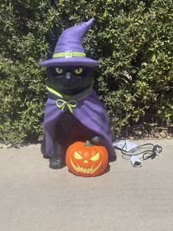 New in Box! Cracker Barrel Black Cat Witch Blow Mold 2 Ft Halloween 2025