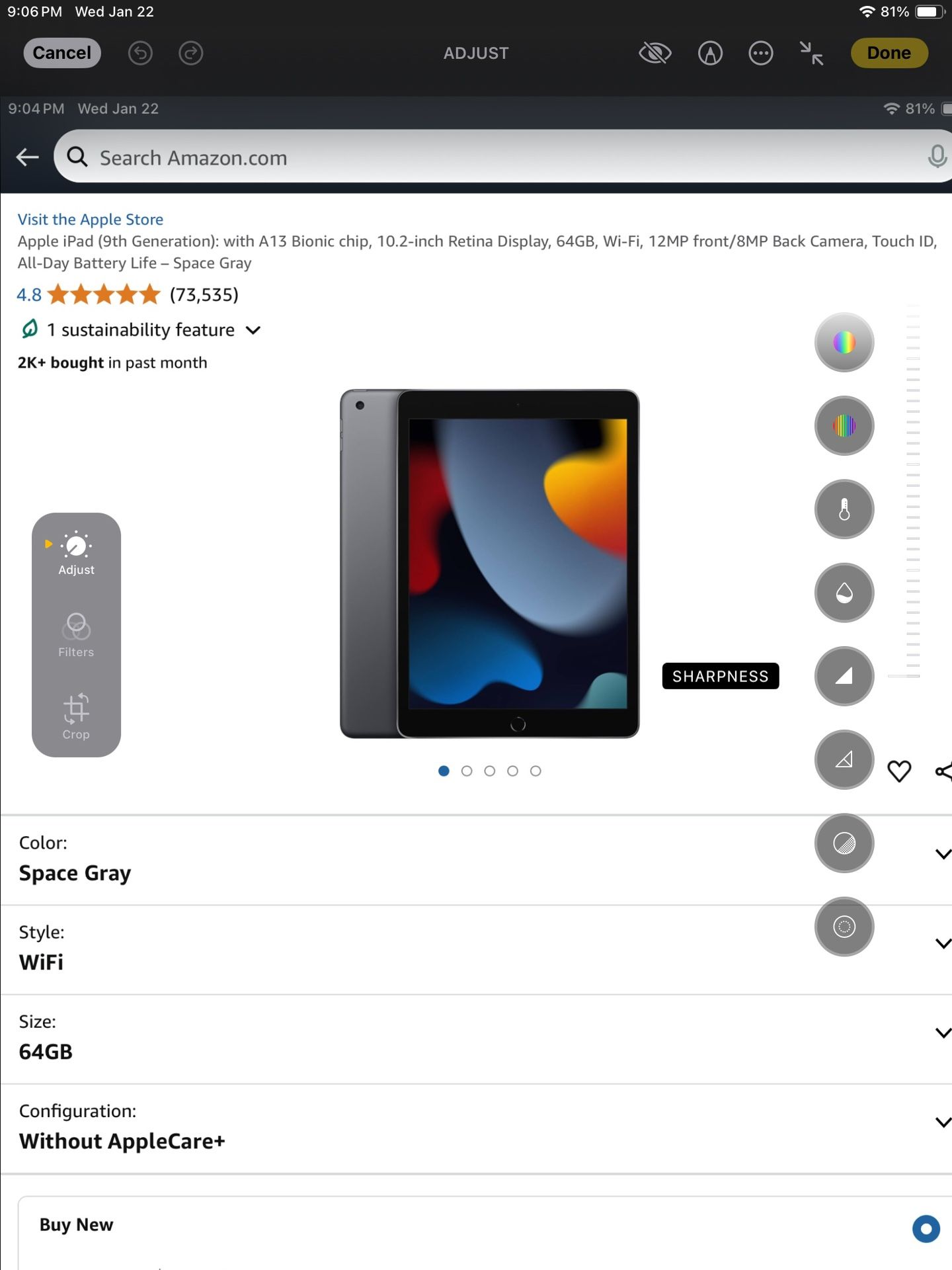 iPad 