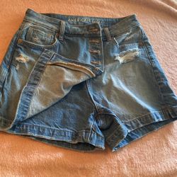 American Eagle Skirt/Shorts
