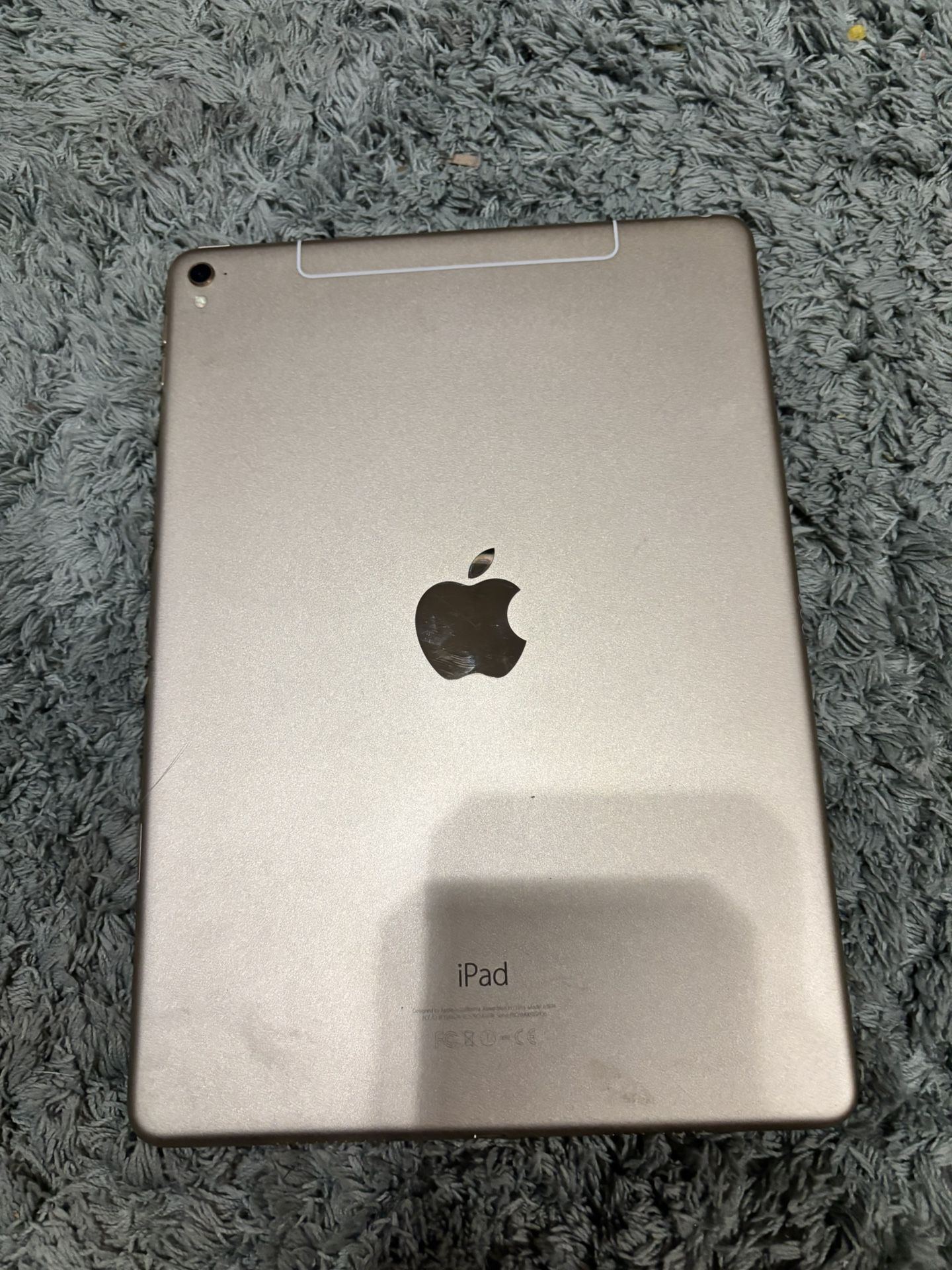 iPad Pro