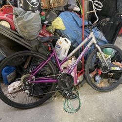 Schwinn Bike