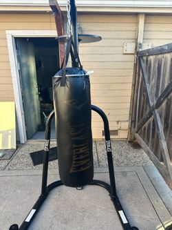 Everlast punching bag