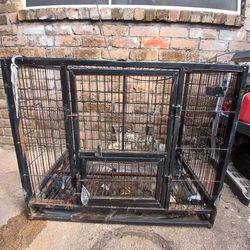 Dog Kennel Cheap Need Space