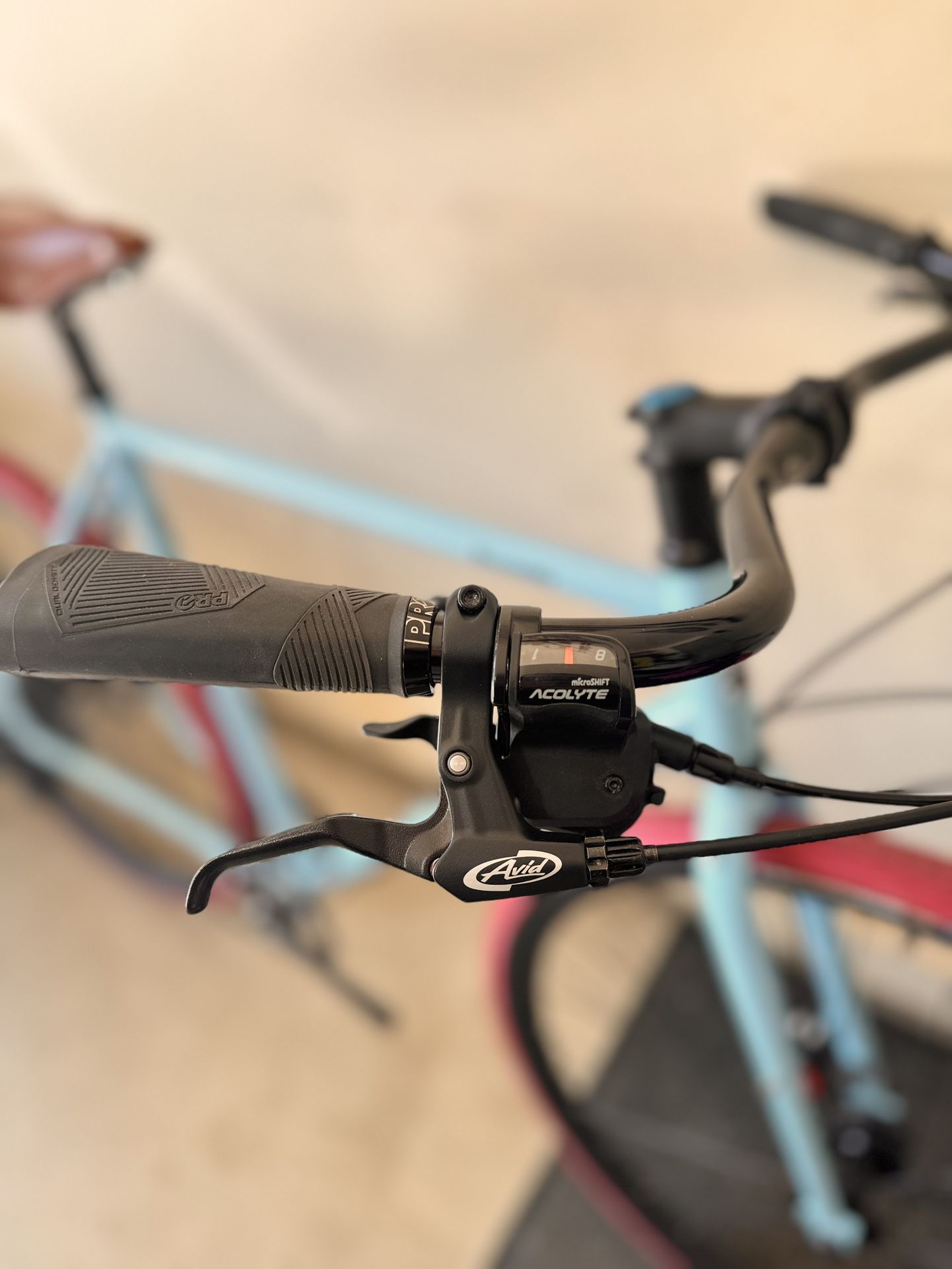 🌺 Surly Preamble🌺