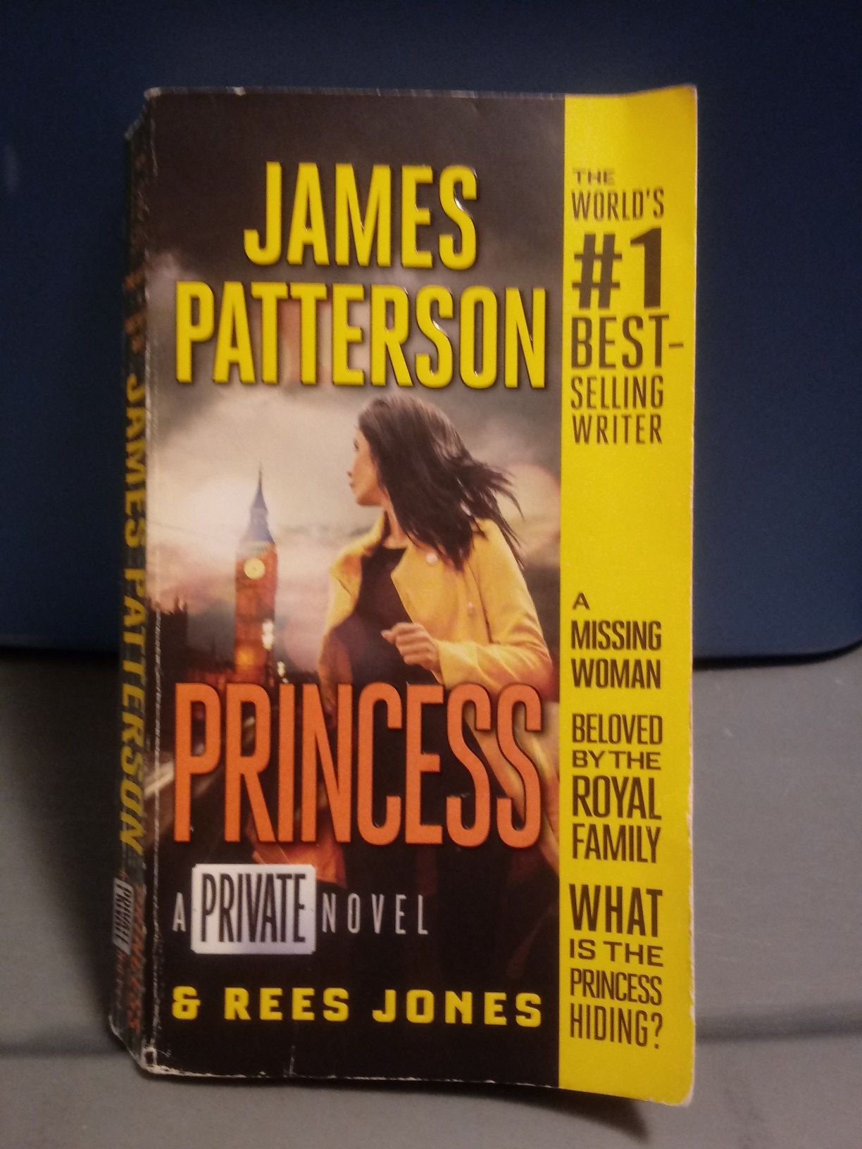 PRINCESS A Private novel