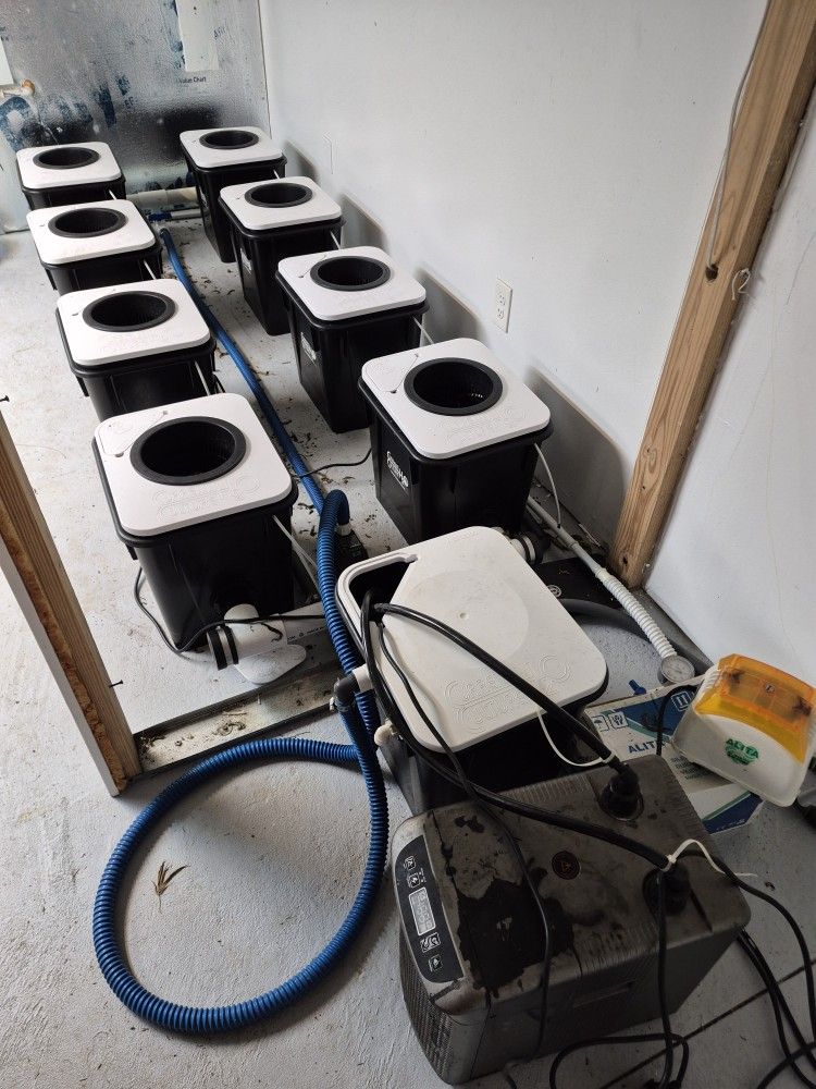 Hydroponic Lot Rdwc Led Grow Lights