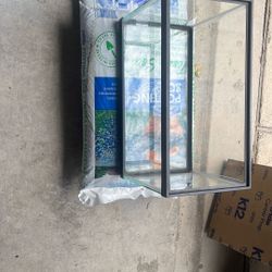 Fish Tank 