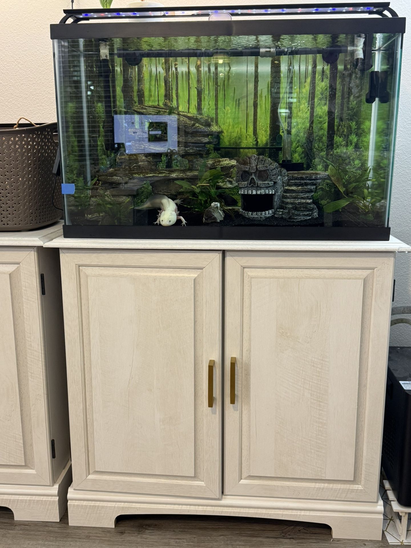 Aquarium tank, stand, and light