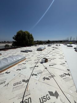 PVC/TPO single ply Roofs
