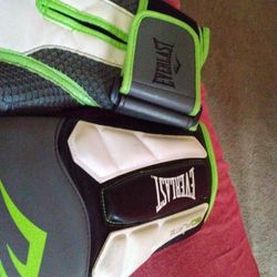 Everlast Boxing Gloves 