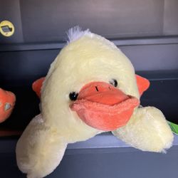 Baby Duck (NEW)