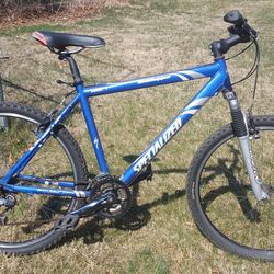 Specialized Rockhopper 18" frame