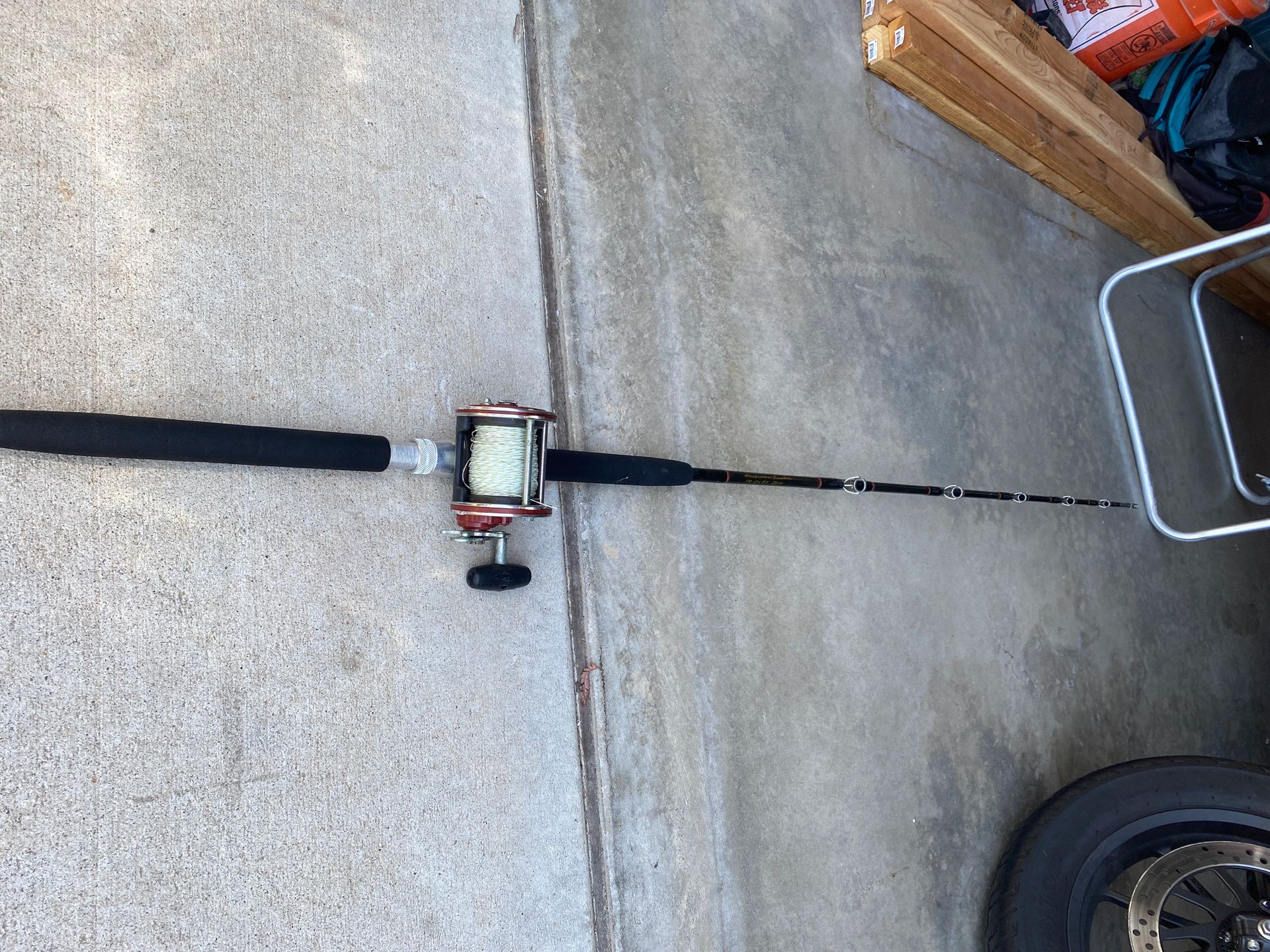 Penn 113 HLM graphite frame wide spool real and pole