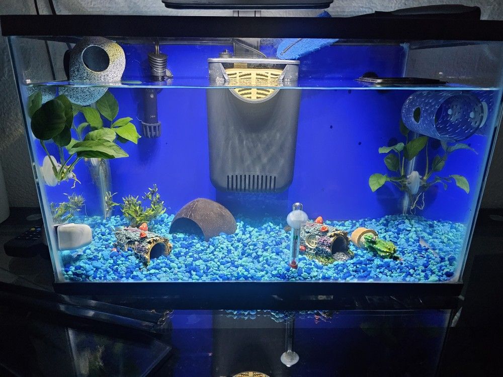 Fish Tank