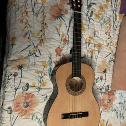 Sunlite beginner Guitar 