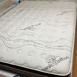 Set Queen Size Serenity Pillow Top Mattress And Box Spring 