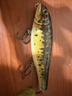 Black Dog Bait 8/80