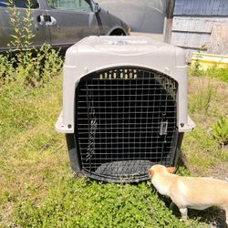 Dog Kennel 