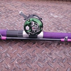 12ft Meat Hunter Casting Rod With Brand New Never Used Carpmaster 6500c3