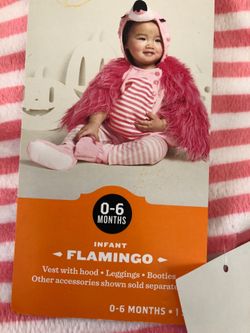 Flamingo