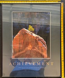 Successories - 24x30 frame - Achievement
