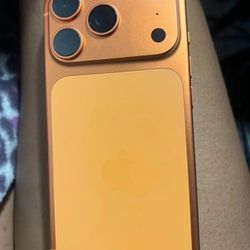 iPhone 17 Pro Max | Unlocked 256GB