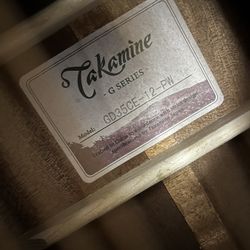 Takamine Gd35ce 12 String