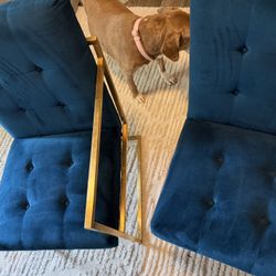 Pair of Blue Velvet Accent Chairs w/ Gold Metal Frame