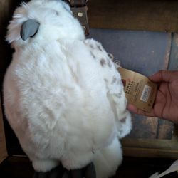 Official Hedwig from Harry Potter Universal Studios 