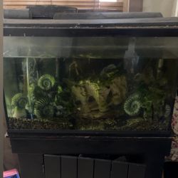 Aquarium With Stand 
