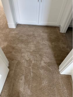 New carpet - 1,000 sq feet