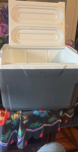 ozark trail cooler 14 can