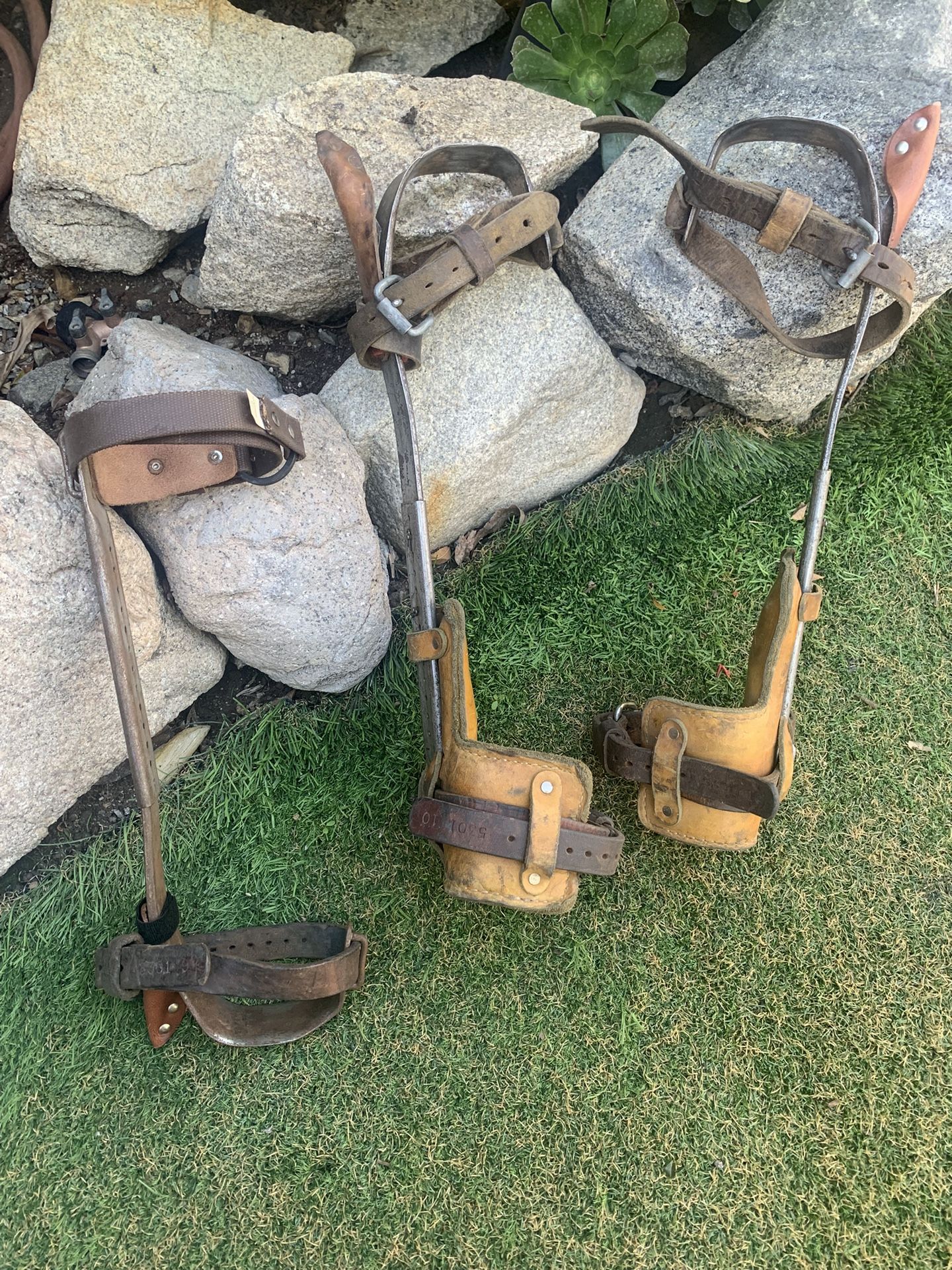 Buckinghang Pole /tree Climbing