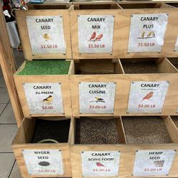 Bird Food