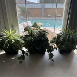 (Set Of 3) Faux Plant Arrangements