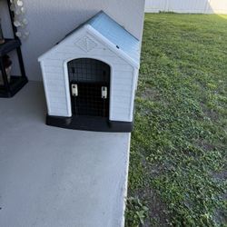 Dog House 