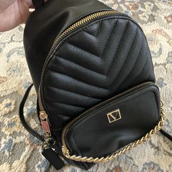 Victoria Secret bag / mini backpack