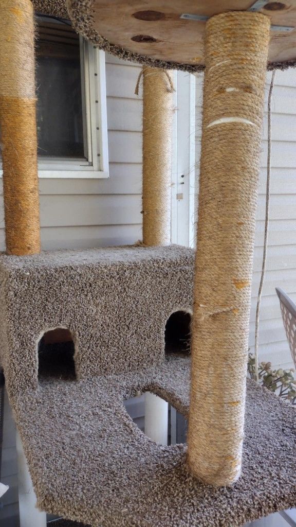 Cat Climber And Play Gym