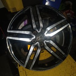 Need Gone ASAP 