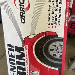 20020 Dodge Ram 150 Hemi Fender Trim 