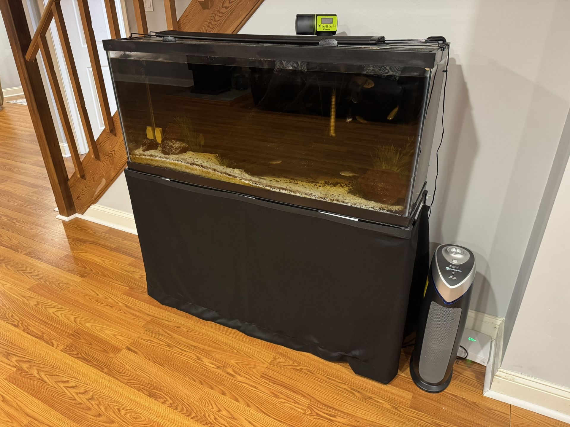 55 Gallon Fish Tank And Stand