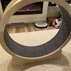 Cat Exercise Wheel