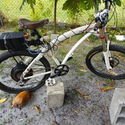 750 W Outlaw E-bike