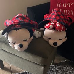 Micky Minni
