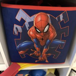 Spiderman Bedroom Decir