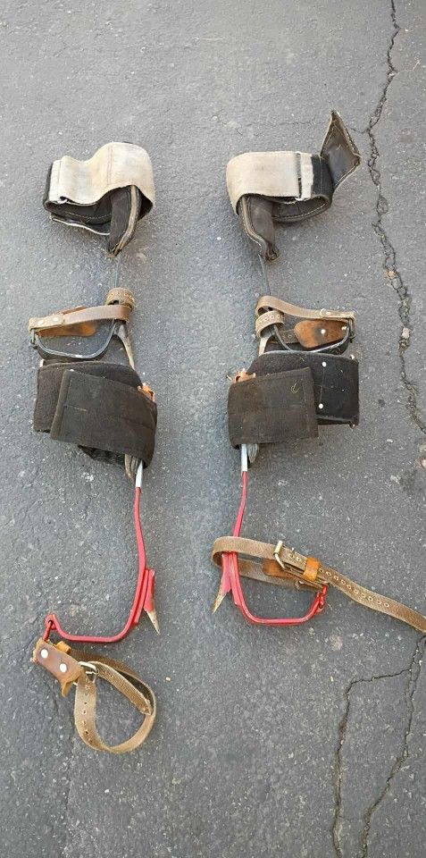 Picos Para Subir Palmas Y Árboles En $340 Los Dos Pares