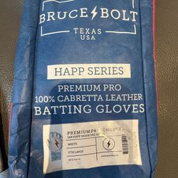 Bruce Bolt Batting Gloves