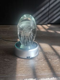 Colorful LED Jellyfish Plug-in (PICK UP ONLY)