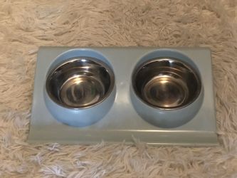 Dog/ cat bowl